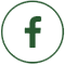 facebook 60 circle green